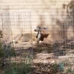 OTRA_2016_0088 (October 08, 2016)